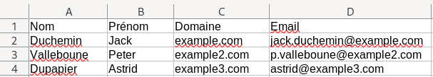 Ajout adresse email professionelle manquante dans fichier client