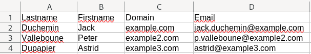 Add missing professional email address to customer file